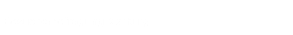 Besucherbefragung Marburg